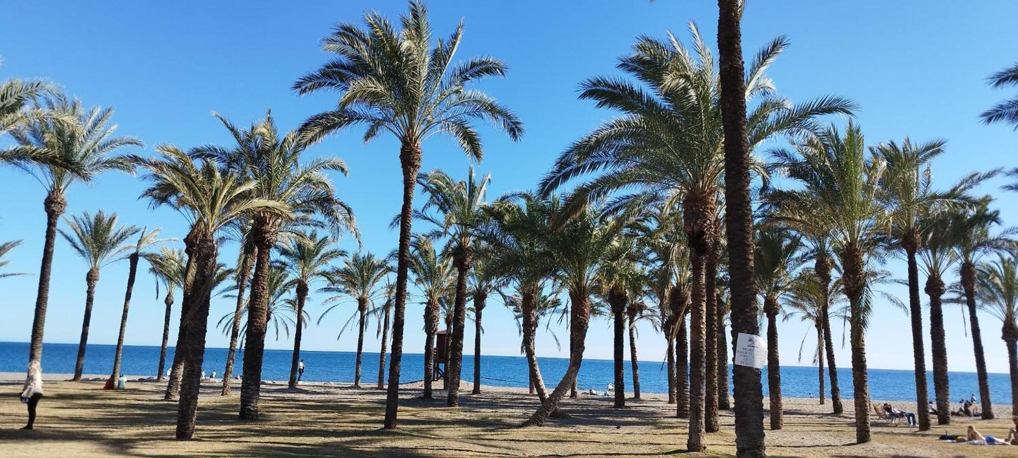 San Antonio - Beach, Pool And Terrace Torremolinos Exteriör bild